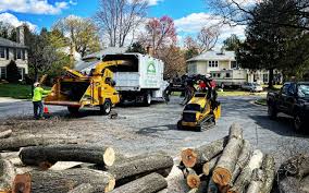 Best Commercial Tree Services  in Fairplay, GA